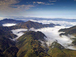 Leigong Mountain National Forest Park