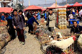 Market in Shidong